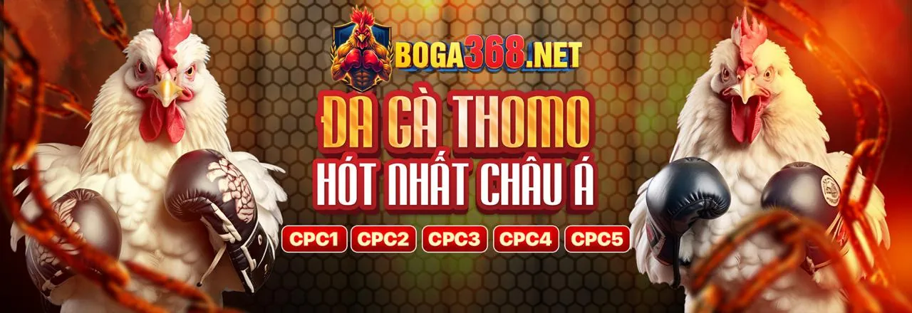 Đá gà trực tuyến King98 với trận đấu gà kịch tính