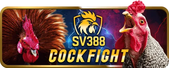 Hệ thống bảo mật và công bằng của King98